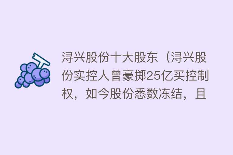 浔兴股份十大股东（浔兴股份实控人曾豪掷25亿买控制权，如今股份悉数冻结，且还遭问询）