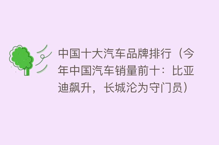 中国十大汽车品牌排行（今年中国汽车销量前十：比亚迪飙升，长城沦为守门员）