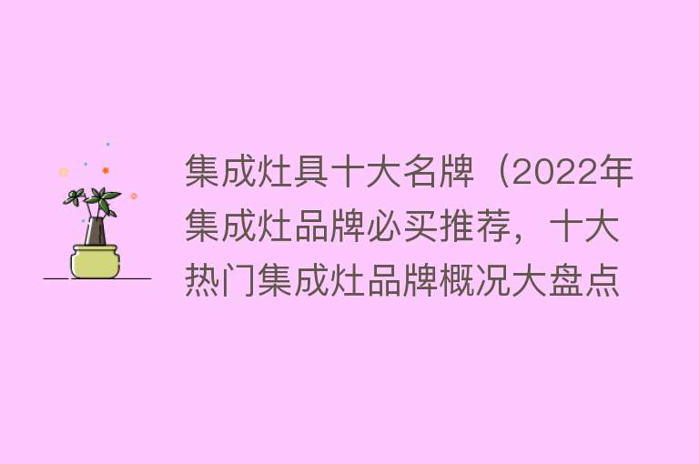 集成灶具十大名牌（2022年集成灶品牌必买推荐，十大热门集成灶品牌概况大盘点）