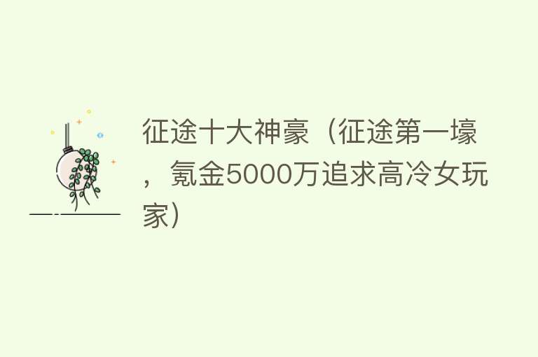 征途十大神豪（征途第一壕，氪金5000万追求高冷女玩家）