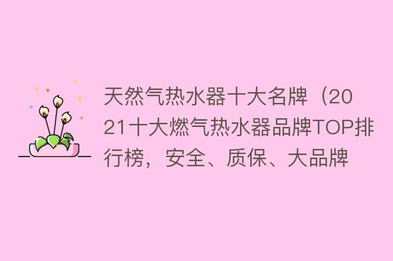 天然气热水器十大名牌（2021十大燃气热水器品牌TOP排行榜，安全、质保、大品牌）