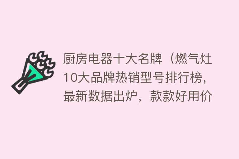 厨房电器十大名牌（燃气灶10大品牌热销型号排行榜，最新数据出炉，款款好用价格实在）