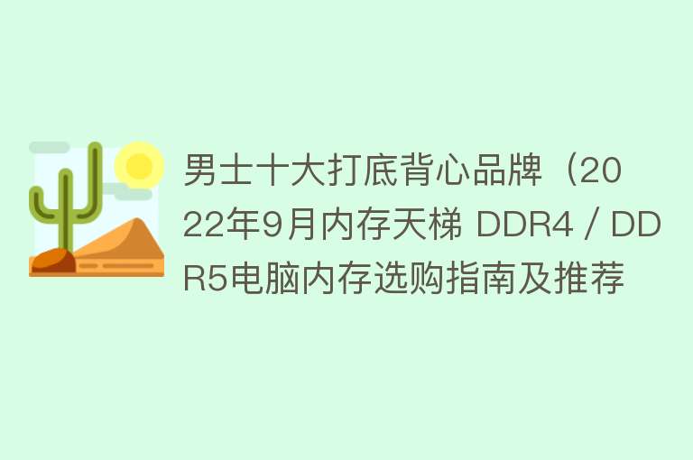 男士十大打底背心品牌（2022年9月内存天梯 DDR4／DDR5电脑内存选购指南及推荐）