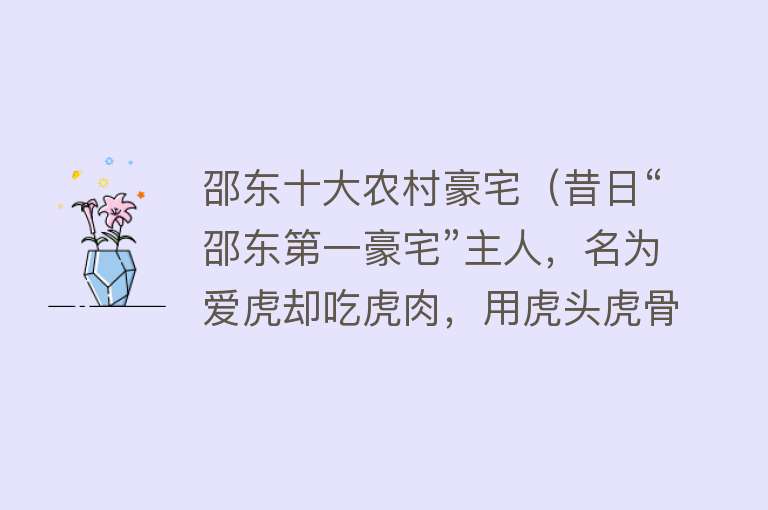 邵东十大农村豪宅（昔日“邵东第一豪宅”主人，名为爱虎却吃虎肉，用虎头虎骨泡酒）