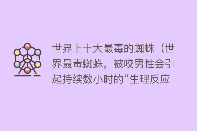 世界上十大最毒的蜘蛛（世界最毒蜘蛛，被咬男性会引起持续数小时的“生理反应”）