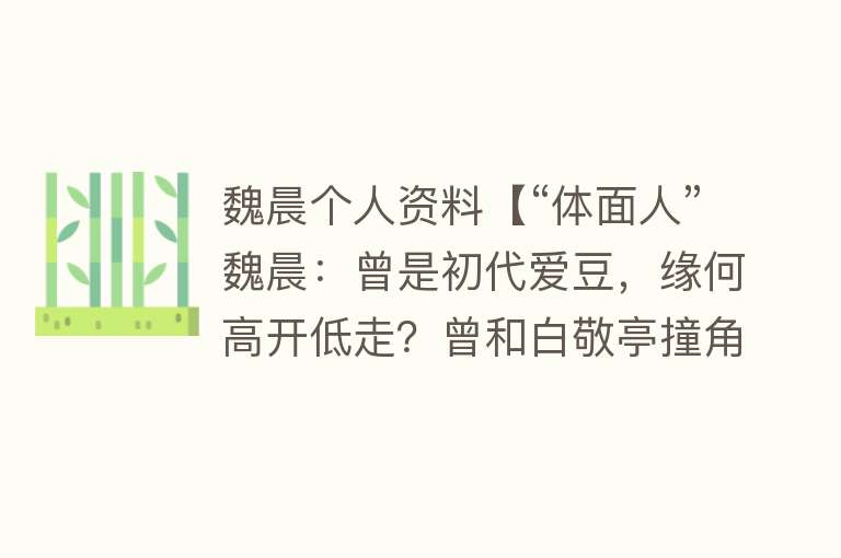 魏晨个人资料【“体面人”魏晨：曾是初代爱豆，缘何高开低走？曾和白敬亭撞角色】