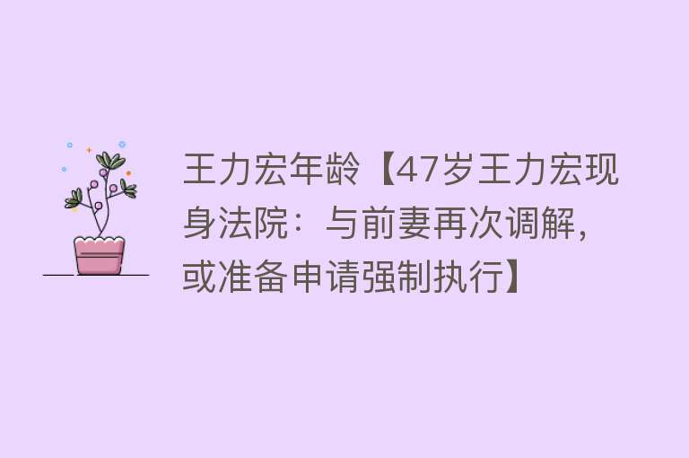 王力宏年龄【47岁王力宏现身法院：与前妻再次调解，或准备申请强制执行】