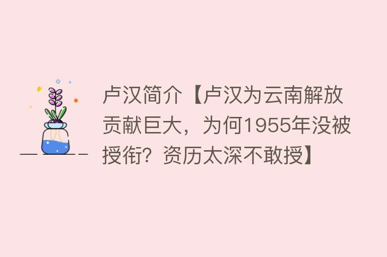 卢汉简介【卢汉为云南解放贡献巨大，为何1955年没被授衔？资历太深不敢授】