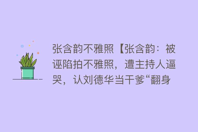 张含韵不雅照【张含韵：被诬陷拍不雅照，遭主持人逼哭，认刘德华当干爹“翻身”】