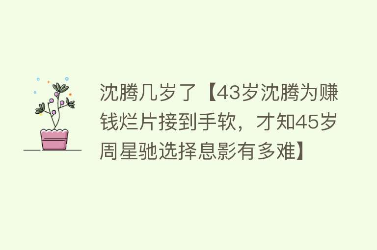 沈腾几岁了【43岁沈腾为赚钱烂片接到手软，才知45岁周星驰选择息影有多难】