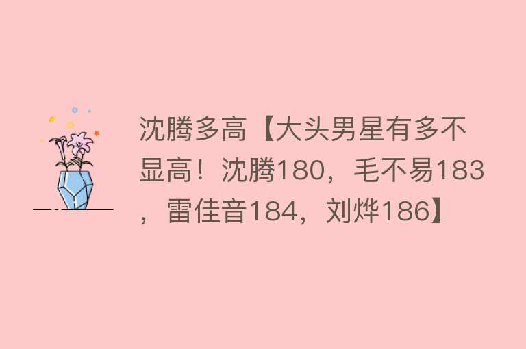 沈腾多高【大头男星有多不显高！沈腾180，毛不易183，雷佳音184，刘烨186】