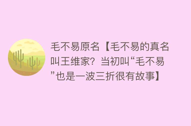 毛不易原名【毛不易的真名叫王维家？当初叫“毛不易”也是一波三折很有故事】