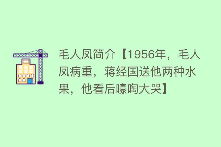 毛人凤简介【1956年，毛人凤病重，蒋经国送他两种水果，他看后嚎啕大哭】