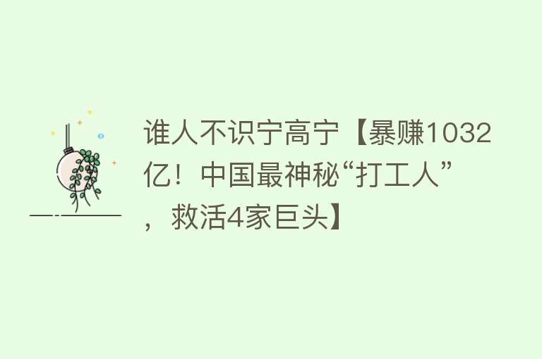 谁人不识宁高宁【暴赚1032亿！中国最神秘“打工人”，救活4家巨头】