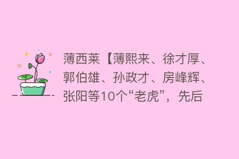 薄西莱【薄熙来、徐才厚、郭伯雄、孙政才、房峰辉、张阳等10个“老虎”，先后被写入《大事记》】