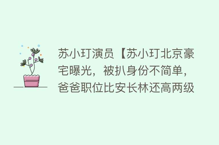 苏小玎演员【苏小玎北京豪宅曝光，被扒身份不简单，爸爸职位比安长林还高两级】